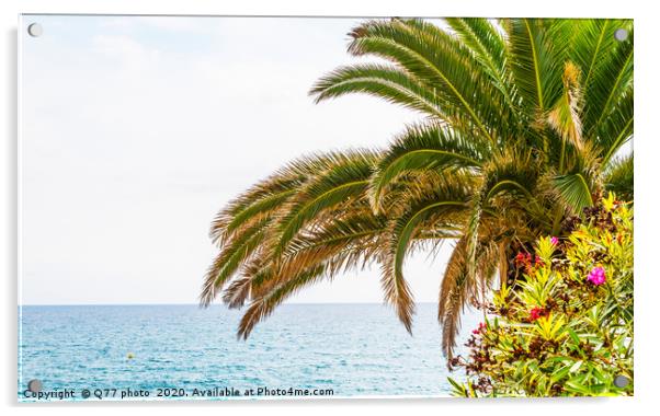 beautiful spreading palm tree on the beach, exotic Acrylic by Q77 photo