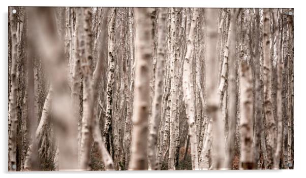 Silver Poles  Acrylic by John Malley