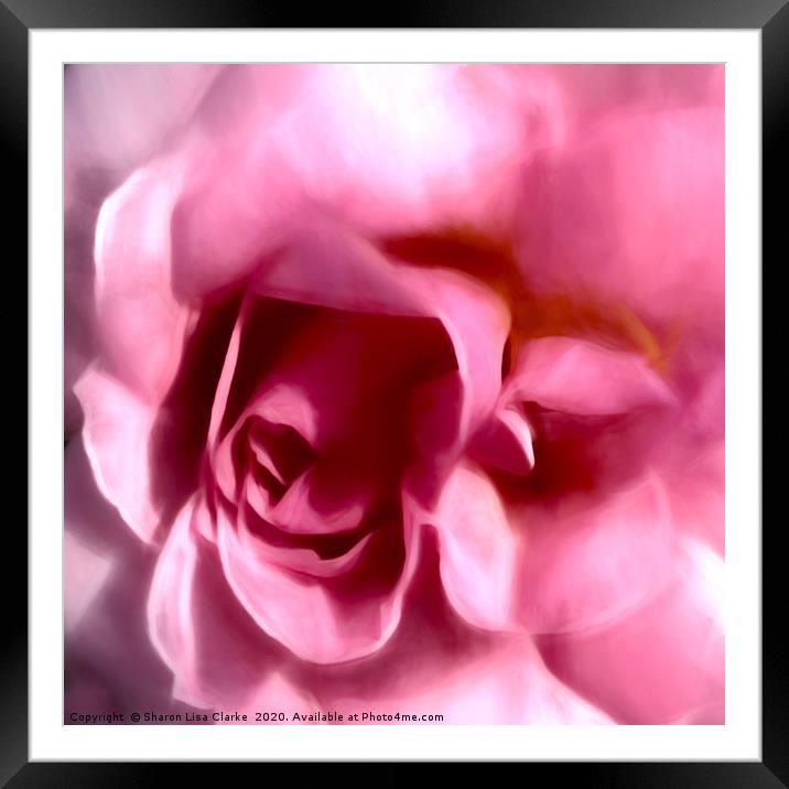 Pink rose romance Framed Mounted Print by Sharon Lisa Clarke