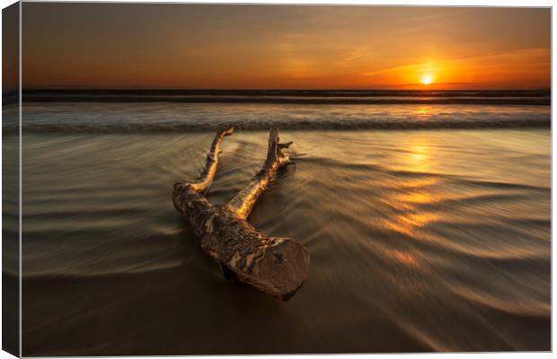 Driftwood...  Canvas Print by J.Tom L.Photography
