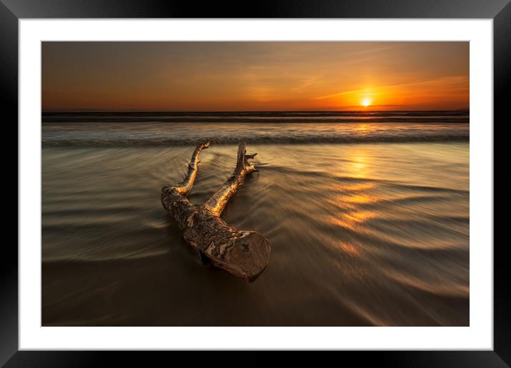 Driftwood...  Framed Mounted Print by J.Tom L.Photography