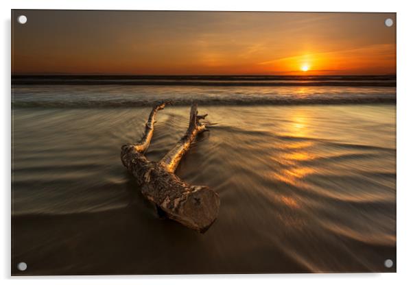 Driftwood...  Acrylic by J.Tom L.Photography