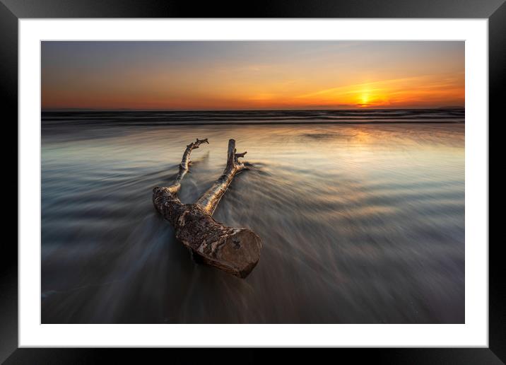 Berrow beach Driftwood...  Framed Mounted Print by J.Tom L.Photography