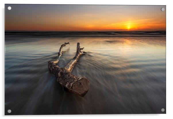 Berrow beach Driftwood...  Acrylic by J.Tom L.Photography