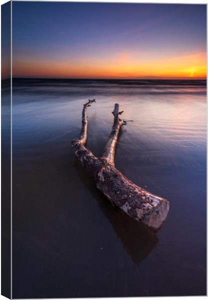 Driftwood on the Berrow beach  Canvas Print by J.Tom L.Photography