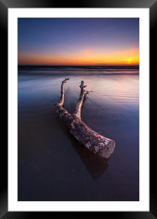 Driftwood on the Berrow beach  Framed Mounted Print by J.Tom L.Photography