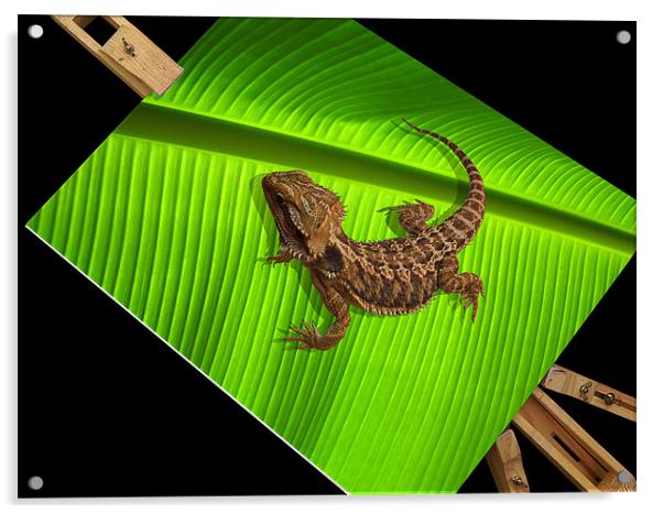 Lizard on Canvas - Bearded Dragon Acrylic by Susie Hawkins