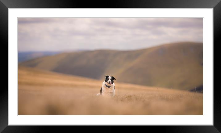 The Fell Dog Framed Mounted Print by John Malley