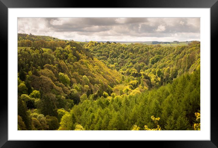 Spring in the Staward Gorge Framed Mounted Print by John Malley