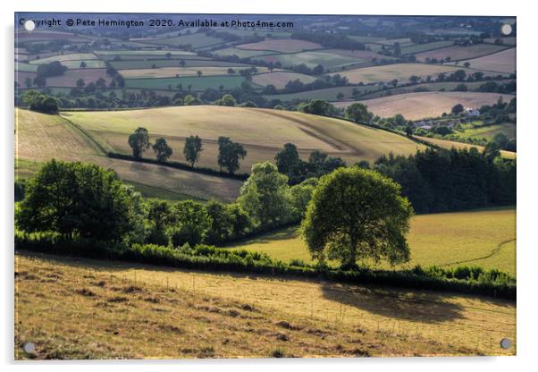 View from Raddon Hill Acrylic by Pete Hemington