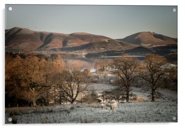 Lake District Morning Acrylic by John Malley