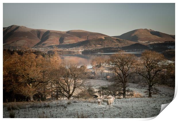 Lake District Morning Print by John Malley