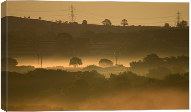 Morning fog Canvas Print by Duane evans