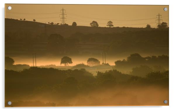 Morning fog Acrylic by Duane evans