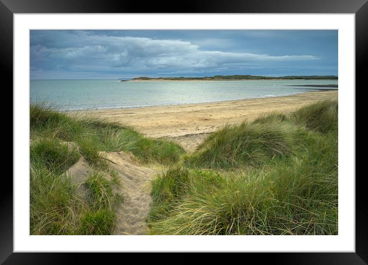 Sand dunes at Instow in North Devon Framed Mounted Print by Tony Twyman