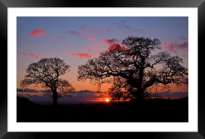 Tree silhouette at Sunset Framed Mounted Print by Pete Hemington
