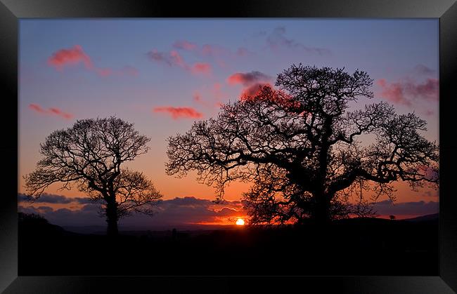 Tree silhouette at Sunset Framed Print by Pete Hemington