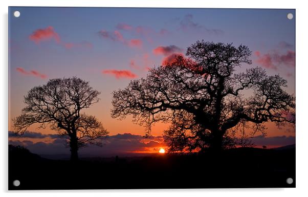 Tree silhouette at Sunset Acrylic by Pete Hemington