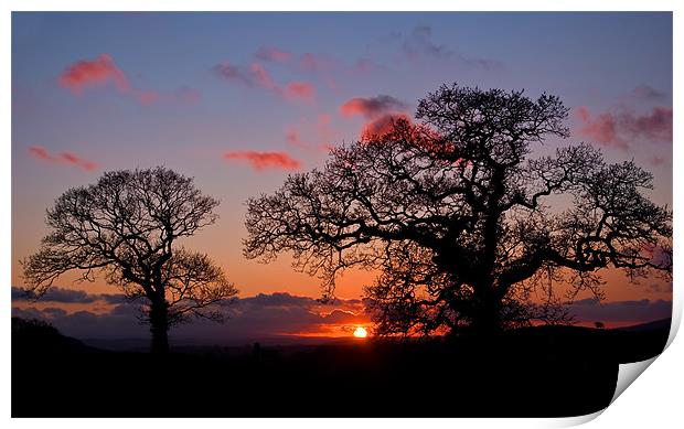 Tree silhouette at Sunset Print by Pete Hemington