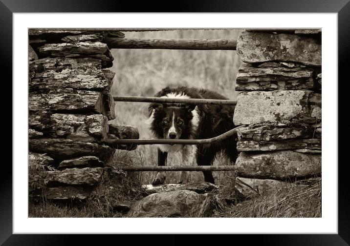 From the 'Other Side' Framed Mounted Print by John Malley