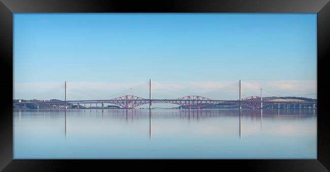 Bridges over Firth of Forth Framed Print by Dave Collins