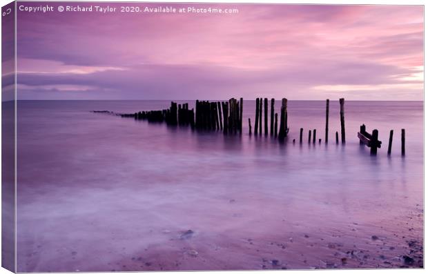 Pink Sumset Canvas Print by Richard Taylor