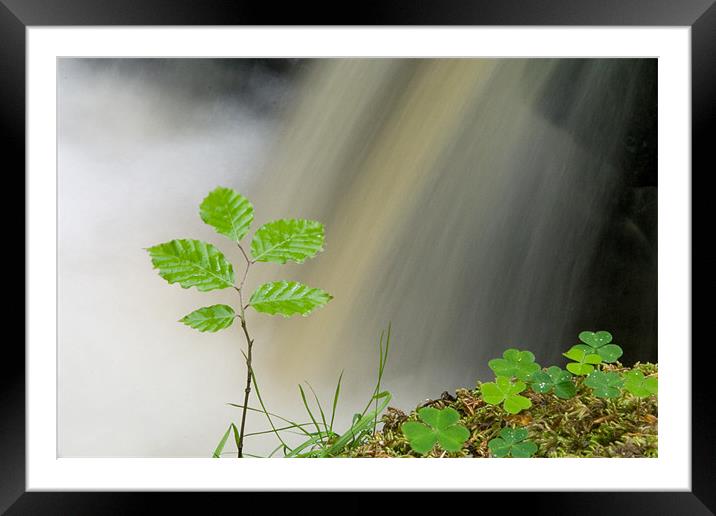 Perfect conditions Framed Mounted Print by Wayne Molyneux
