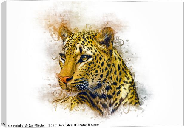 Leopard Art Canvas Print by Ian Mitchell