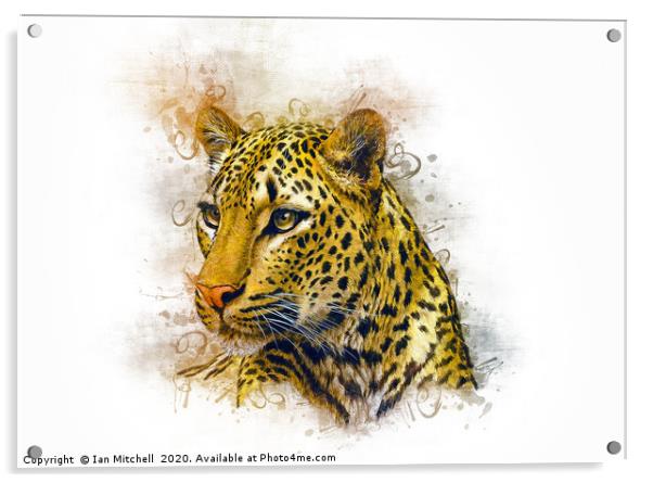 Leopard Art Acrylic by Ian Mitchell