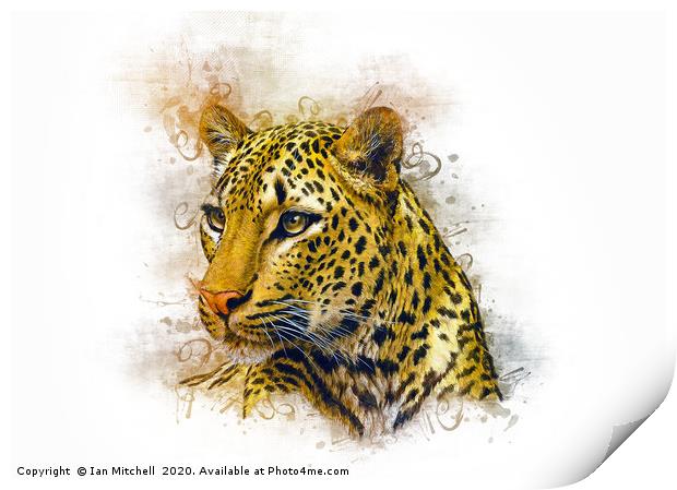 Leopard Art Print by Ian Mitchell