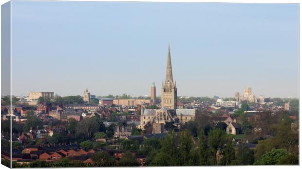 Norwich Skyline Cathedral and Castle  Canvas Print by Juha Agren