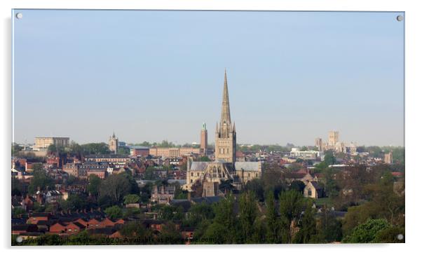 Norwich Skyline Cathedral and Castle  Acrylic by Juha Agren