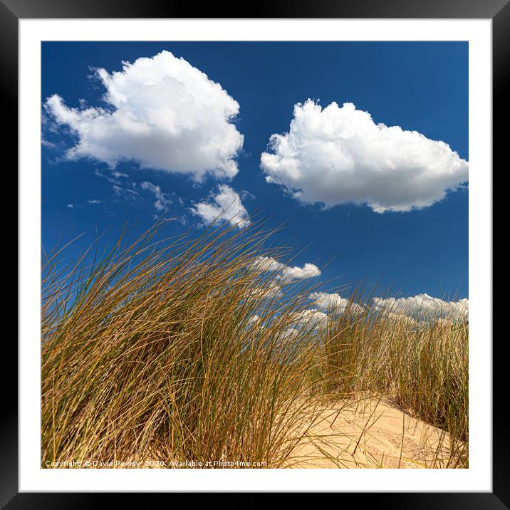 Clouds above the sand dunes Framed Mounted Print by David Powley