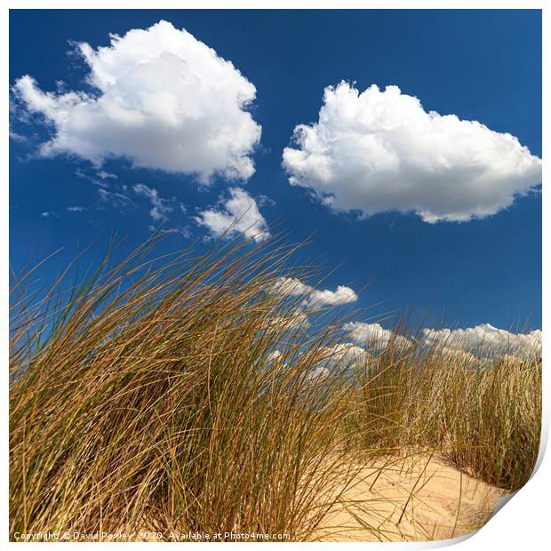 Clouds above the sand dunes Print by David Powley