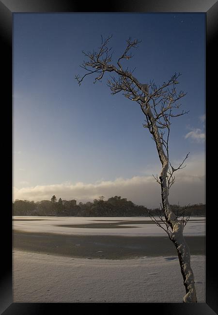 Frozen Loch at Mugdock Framed Print by James Buckle