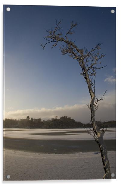 Frozen Loch at Mugdock Acrylic by James Buckle