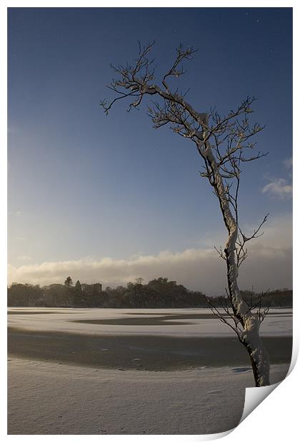 Frozen Loch at Mugdock Print by James Buckle