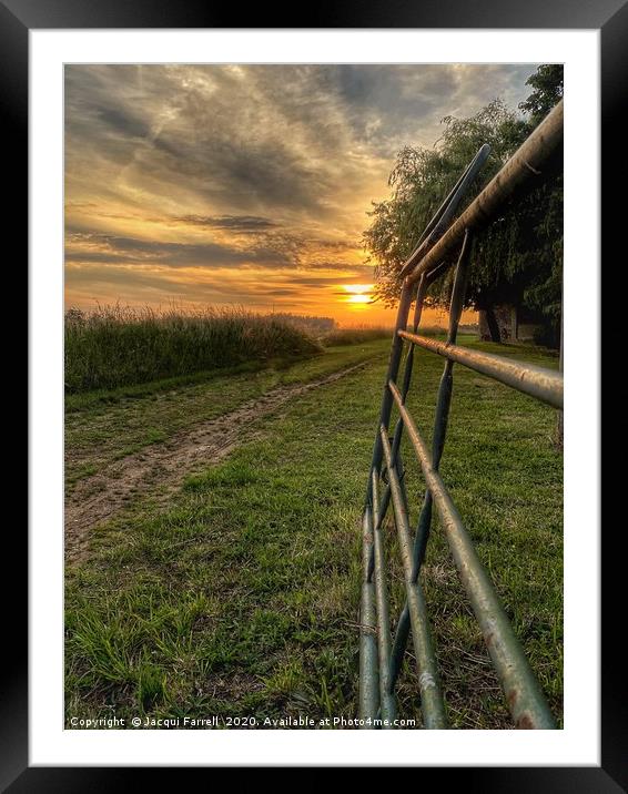 Farm Gate at Sunset Coveney Norfolk Framed Mounted Print by Jacqui Farrell