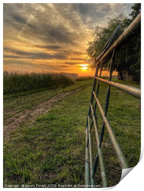 Farm Gate at Sunset Coveney Norfolk Print by Jacqui Farrell
