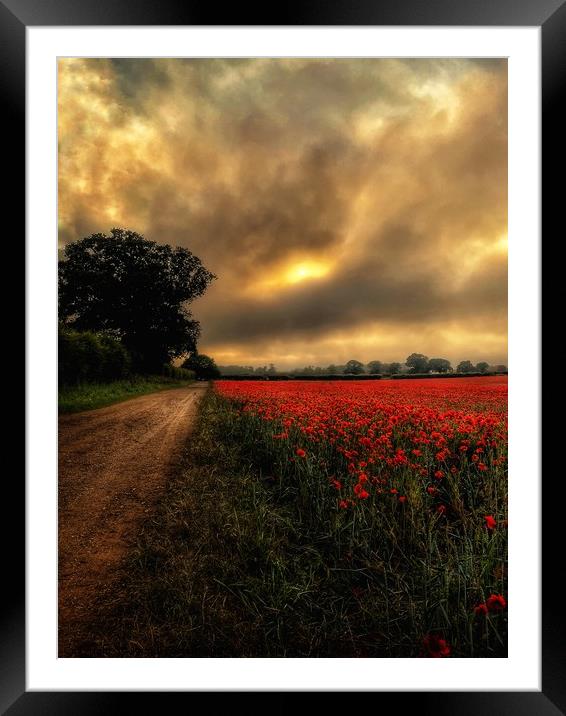 Norfolk Poppy Field and Pathway Framed Mounted Print by Jacqui Farrell