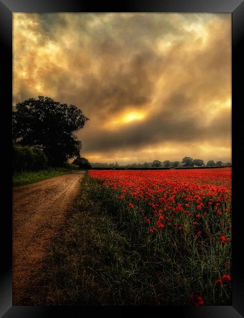 Norfolk Poppy Field and Pathway Framed Print by Jacqui Farrell