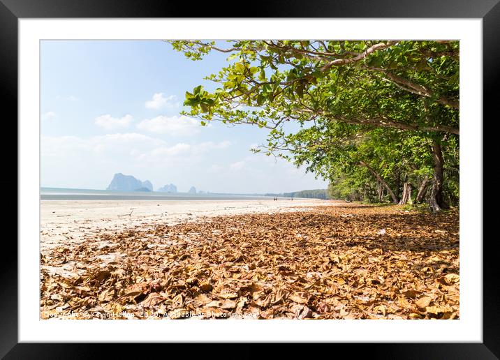 Leaves on the beach at Pak Meng Framed Mounted Print by Kevin Hellon