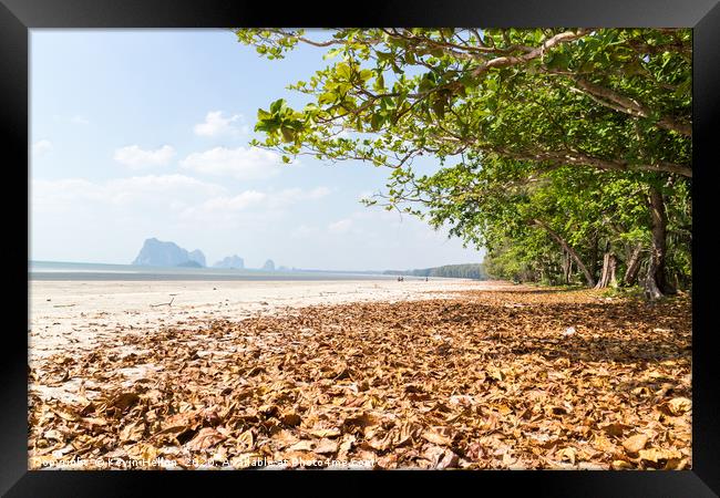 Leaves on the beach at Pak Meng Framed Print by Kevin Hellon