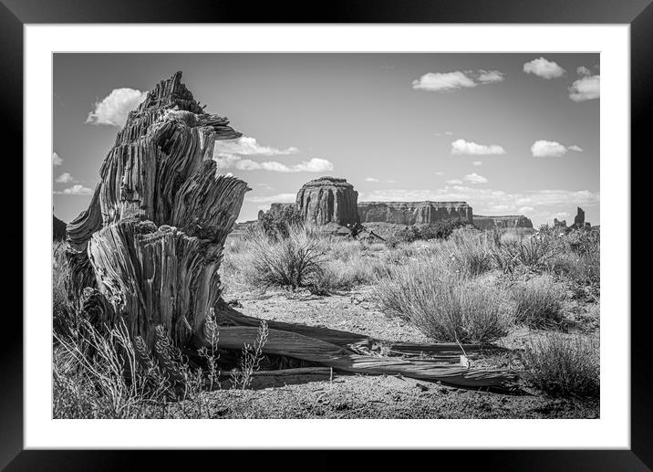 Tree Stump Butte (mono) Framed Mounted Print by Gareth Burge Photography
