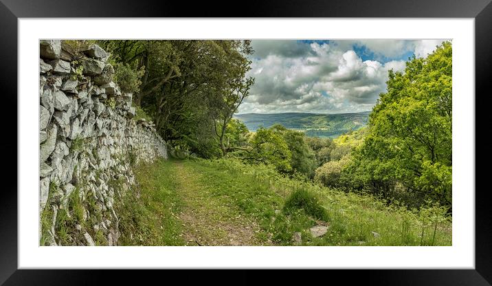 Wall and view to Dunkery from Selworthy Combe Framed Mounted Print by Shaun Davey