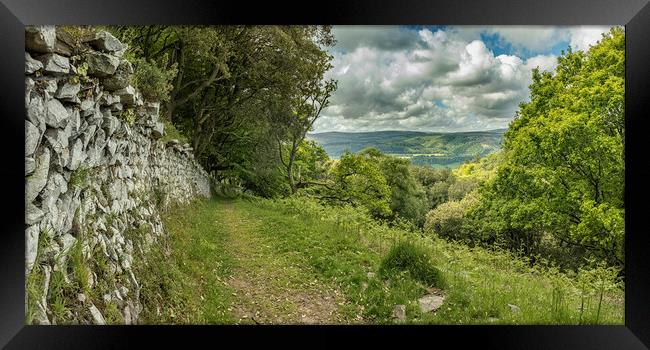 Wall and view to Dunkery from Selworthy Combe Framed Print by Shaun Davey