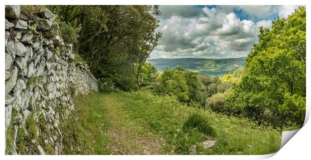 Wall and view to Dunkery from Selworthy Combe Print by Shaun Davey