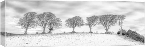 Snow at the Seven Sisters Trees, Holnicote, Exmoor Canvas Print by Shaun Davey
