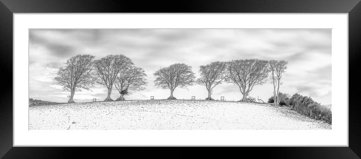Snow at the Seven Sisters Trees, Holnicote, Exmoor Framed Mounted Print by Shaun Davey