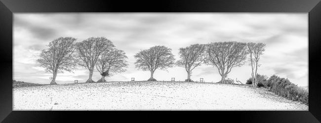Snow at the Seven Sisters Trees, Holnicote, Exmoor Framed Print by Shaun Davey